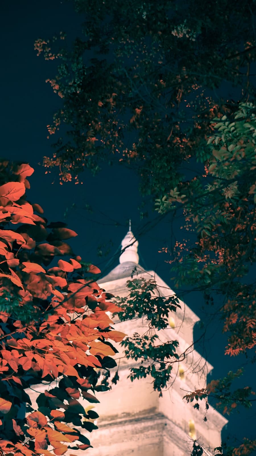 Pagoda in Red Leaves